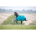 Shires Tempest Plus 1200D 200G Turnout Horse Tack, Teal, 81-in