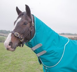 Shires Tempest Plus 200G Turnout Neck Cover Horse Tack, Teal, Medium