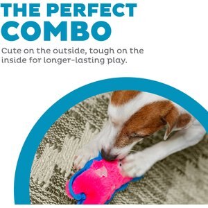 Picture of 10 Best Stuffing-Free Dog Toys 2025: According to Reviews | Chewy