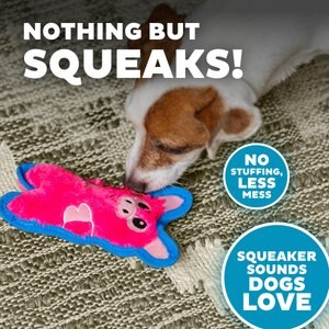 10 Best Stuffing-Free Dog Toys 2025: According to Reviews | Chewy - String Free Dog Toys