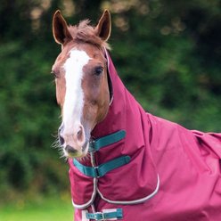 Shires Equestrian Products Tempest 200g Original Horse Neck Cover, Maroon, Small