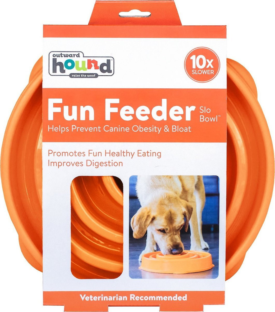 Dog top interactive feeder