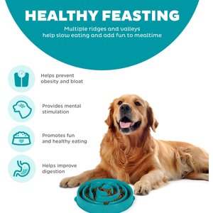 Outward Hound Non-Skid Plastic Slow Feeder Interactive Dog Bowl, Teal, 4-cup