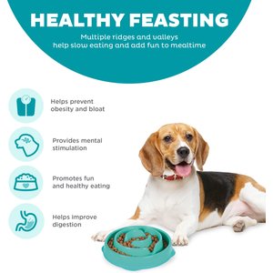 Outward Hound Non-Skid Plastic Slow Feeder Interactive Dog Bowl, Teal, 2-cup