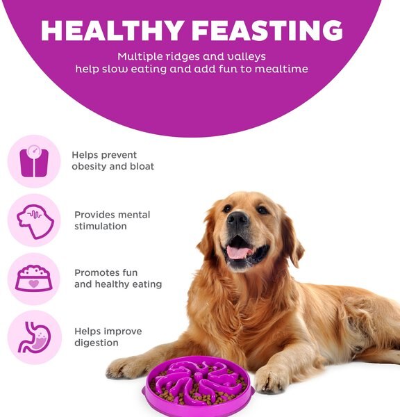 outward-hound-fun-feeder-interactive-dog-bowl-purple-4-cup-chewy