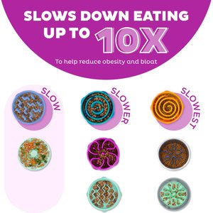 9 Slow Feeders for Dogs Who Eat Too Fast (2024)