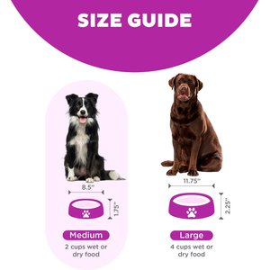 Best interactive dog feeders sale