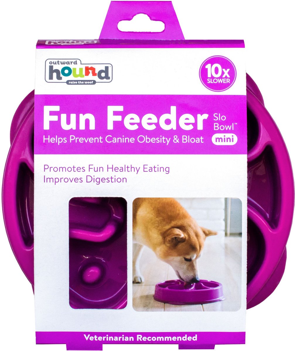 Fun feeder clearance slo bowl