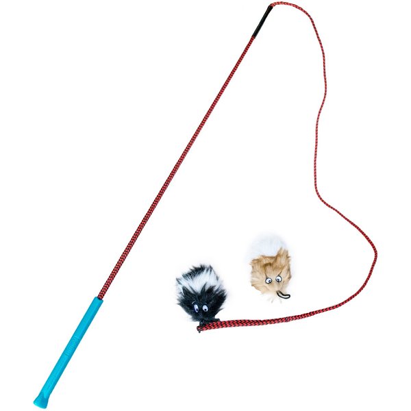 Pet Supplies : SwiftPaws Flirt Pole Toy - For Dogs - Extendable to 48” and  Collapsible to 16” - All Aluminum + Paracord Line - Provides Exercise and  Stimulation - For Playful Enrichment - Includes Durable Bone Flag 