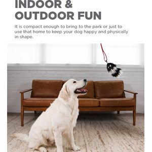 Outward Hound Tail Teaser with Refill Dog & Cat Teaser Toy