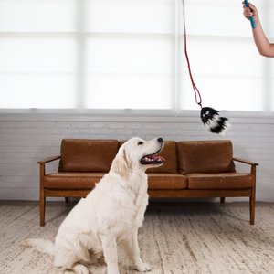 Outward Hound Tail Teaser with Refill Dog & Cat Teaser Toy