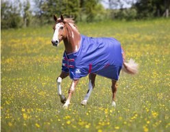 Shires Tempest Original Air Motion Turnout Horse Tack, Navy, 69-in