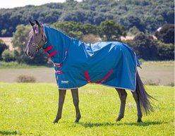Shires Equestrian Products Tempest Lite Original Horse Combo Blanket, Teal, 48-in