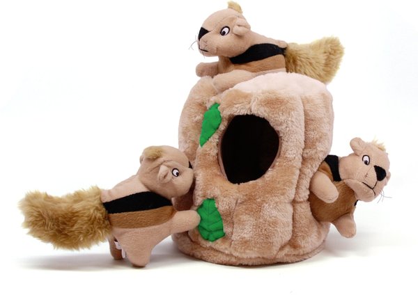 Outward Hound Hide A Squirrel Squeaky Puzzle Plush Dog Toy, Jumbo slide 1 of 12