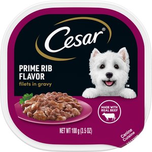 Cesar Filets in Gravy Prime Rib Adult Wet Dog Food Trays, 3.5-oz, case of 24
