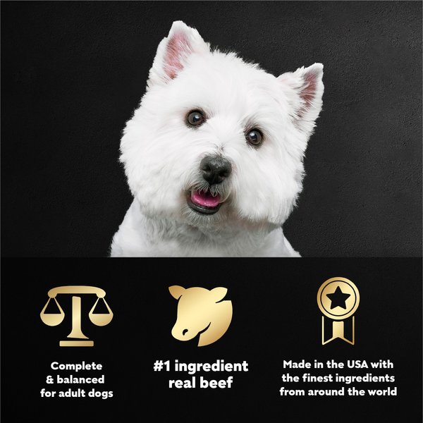 Cesar Gourmet Filets Prime Rib Flavor Canine Cuisine