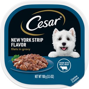 Cesar Filets in Gravy New York Strip Adult Wet Dog Food Trays, 3.5-oz, case of 24