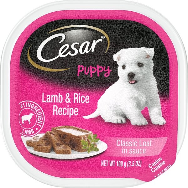 Chewy cesar hotsell dog food