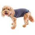 BellyGuard Onesie Dog Recovery Apparel, Grey, Small