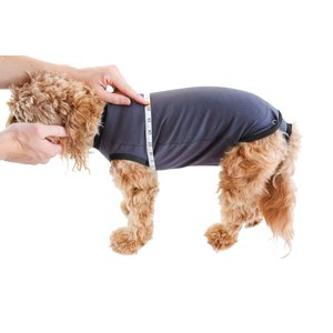 BellyGuard Onesie Dog Recovery Apparel, Grey, Medium