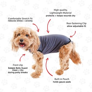 BellyGuard Onesie Dog Recovery Apparel, Grey, Medium