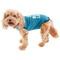 BellyGuard Onesie Dog Recovery Apparel, Blue, Mini