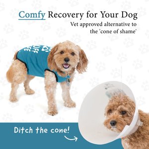BellyGuard Onesie Dog Recovery Apparel, Blue, Medium