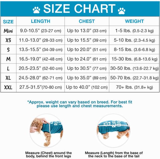 BellyGuard Onesie Dog Recovery Apparel, Blue, Medium