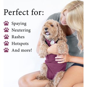 BellyGuard Onesie Dog Recovery Apparel, Maroon, Small