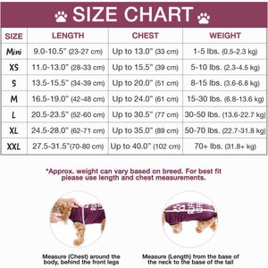 BellyGuard Onesie Dog Recovery Apparel, Maroon, Small