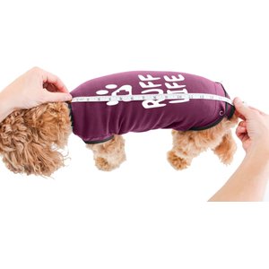 BellyGuard Onesie Dog Recovery Apparel, Maroon, Small