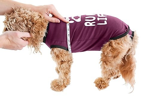 BellyGuard Onesie Dog Recovery Apparel, Maroon, Medium