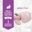 INSTINCT Limited Ingredient Diet Real Rabbit Recipe Grain-Free Pate Wet ...