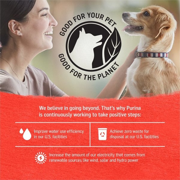 Show full view: Purina Beyond Natural Grain-Free Beef Potato & Green Bean Recipe Ground Entree Wet Dog Food, 13-oz, case of 12 slide 7 of 11