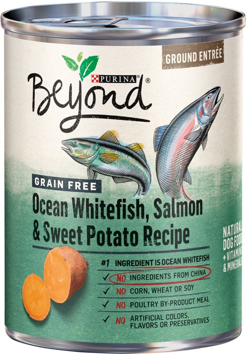 PURINA BEYOND Salmon & Sweet Potato Recipe Ground Entrée GrainFree