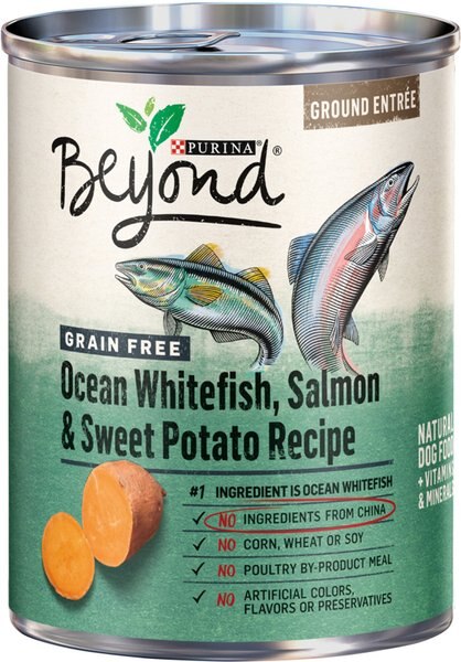 Discontinued PURINA BEYOND Salmon Sweet Potato Recipe Ground Entree Grain Free Canned Dog Food 13 oz case of 12 Chewy