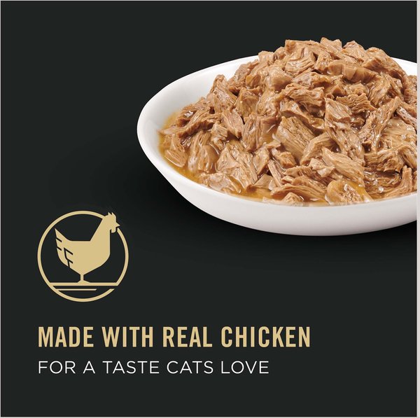 Healthy metabolism cat food best sale