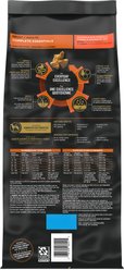 Purina Pro Plan Adult Shredded Blend Salmon & Rice Formula Dry Dog Food, 5-lb bag slide 2 of 8
