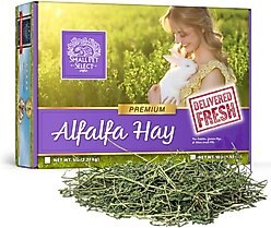 Small Pet Select Alfalfa Hay Small Pet Food, 10-lb bag