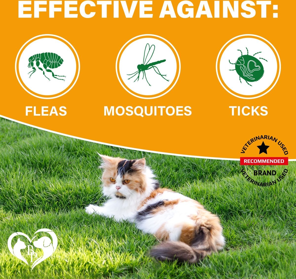 Chewy flea outlet medicine for cats