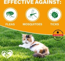Beloved Pets Flea & Tick Prevention Chewable Pills for Cats, 10-oz pack slide 2 of 7