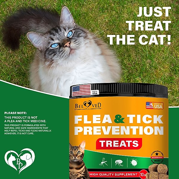 Show full view: Beloved Pets Flea & Tick Support Chewable Treats with Chicken Flavor for Cats, 10-oz pack slide 8 of 10