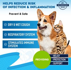 Beloved Pets Kennel Cough Treatment & Natural Infection Medicine for Dogs & Cats, 2-fl oz bottle slide 2 of 7