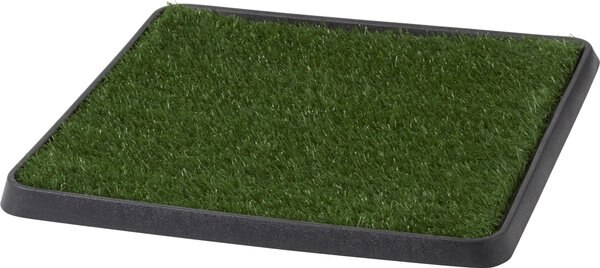 FRISCO Indoor Dog Grass Potty Pad with Tray 20 x 20 in Chewy