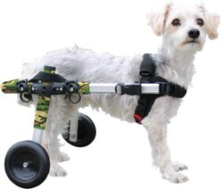 Walkin' Pets Dog Wheelchair for Small Dogs & Cats, 11-14-lbs, Camo, Camo with 6-in Strust & 4-in Wheels