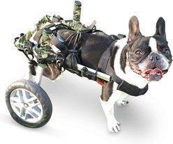 Walkin' Pets Dog Wheelchair for Small Dogs & Cats, 15-25-lbs, Camo, Camo with 6-in Struts & 8-in Wheels