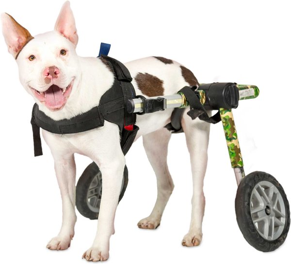 Walkin' Wheels, Dog Wheelchair Reviews