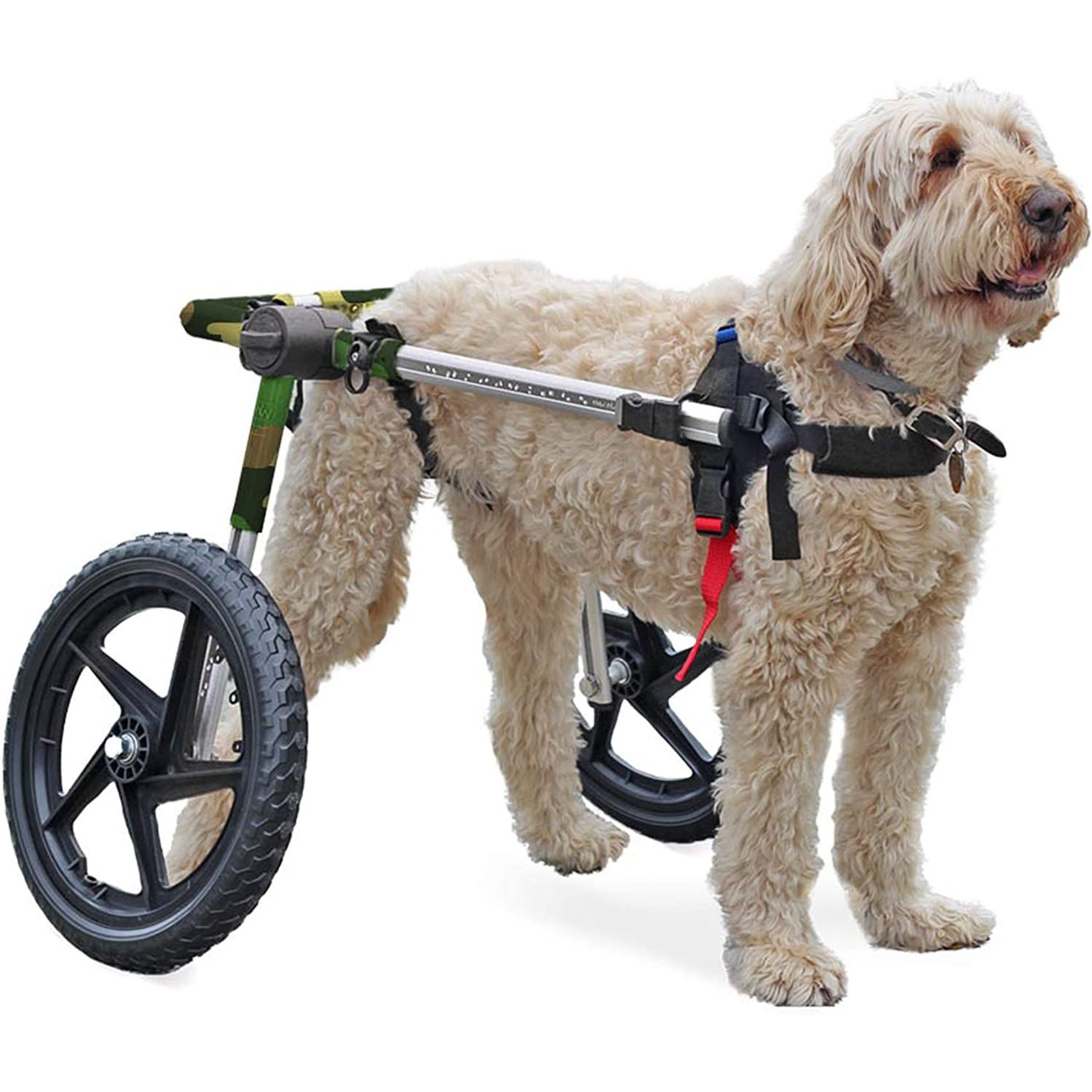  Walkin' Wheels Lightweight – for Small Cats 2 to 20 Pounds –  Veterinarian Approved – Cat Wheelchair for Back Legs : Pet Supplies