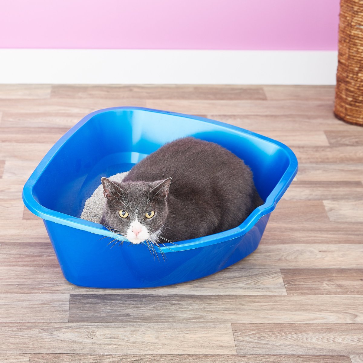 High corner clearance litter pan