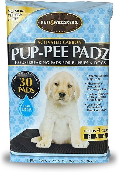 Chewy dog pee outlet pads